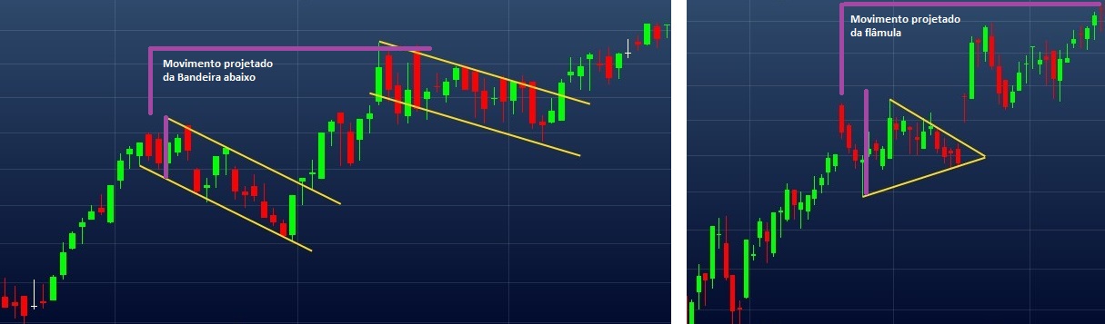 Exemplo de movimento projetado